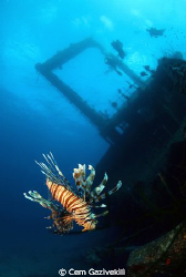 Giannis Wreck by Cem Gazivekili 